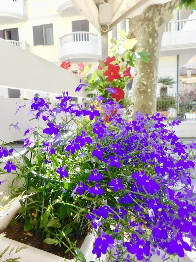 Hotel Dolores 리미니 외부 사진